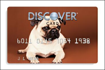 credit card and consumers