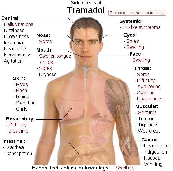 mail order pharmacy definition